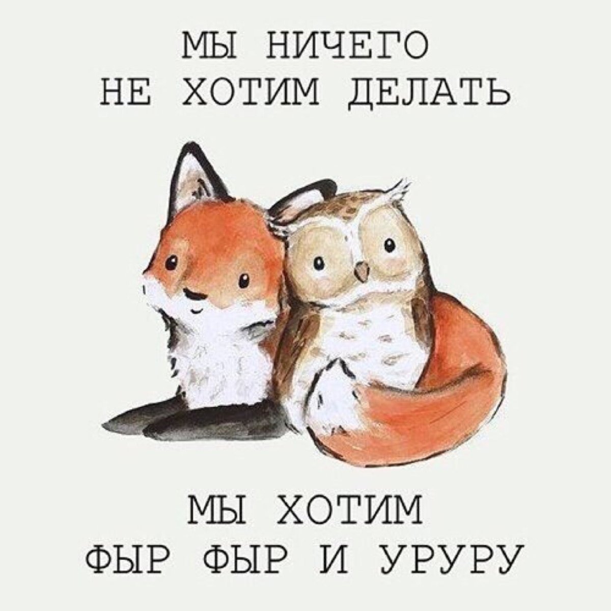 Лиса и Сова