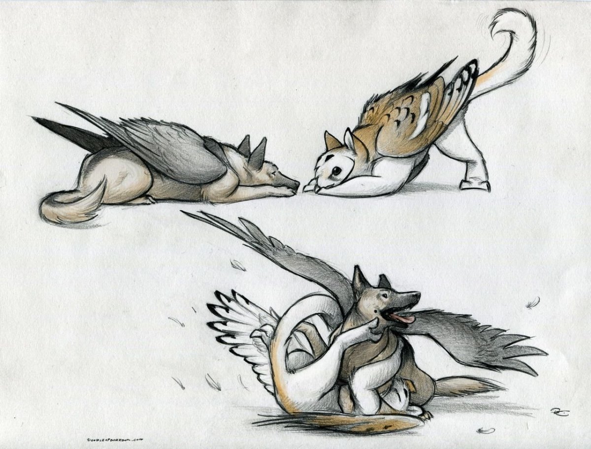 Грифон Котосова