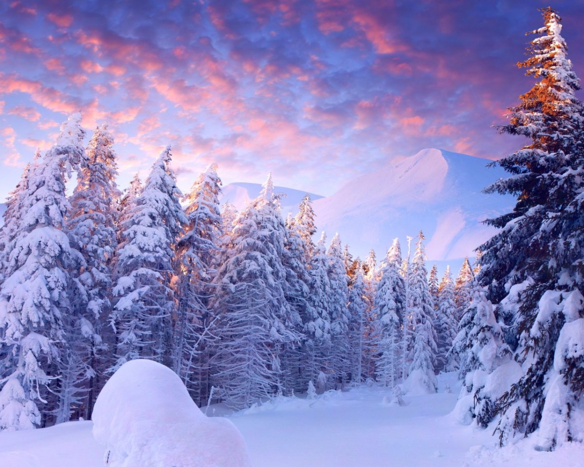 Заснеженная зима