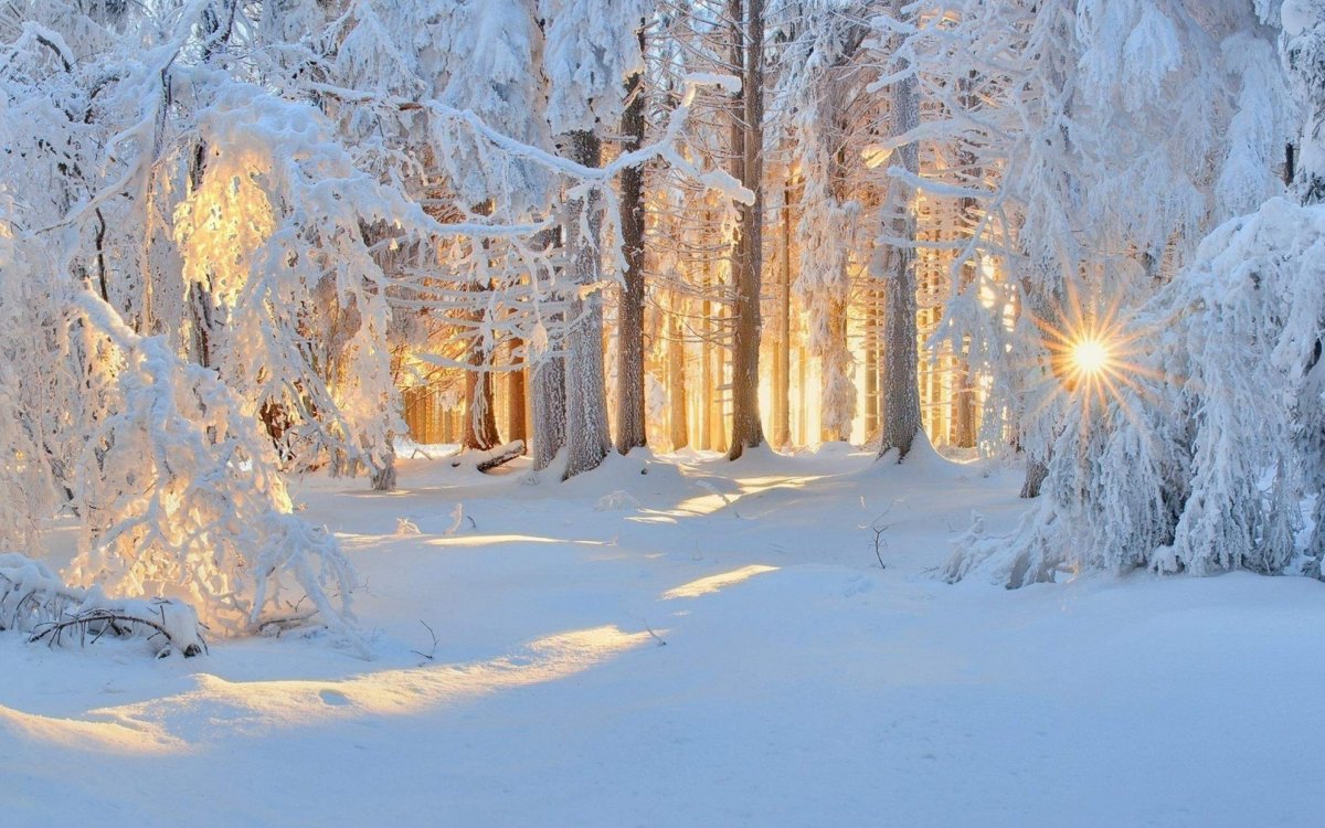 Зимний пейзаж фото на рабочий стол