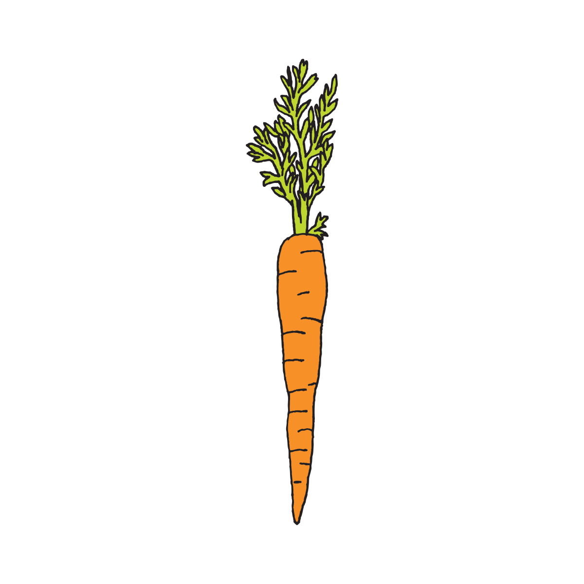 Морковка рисунок