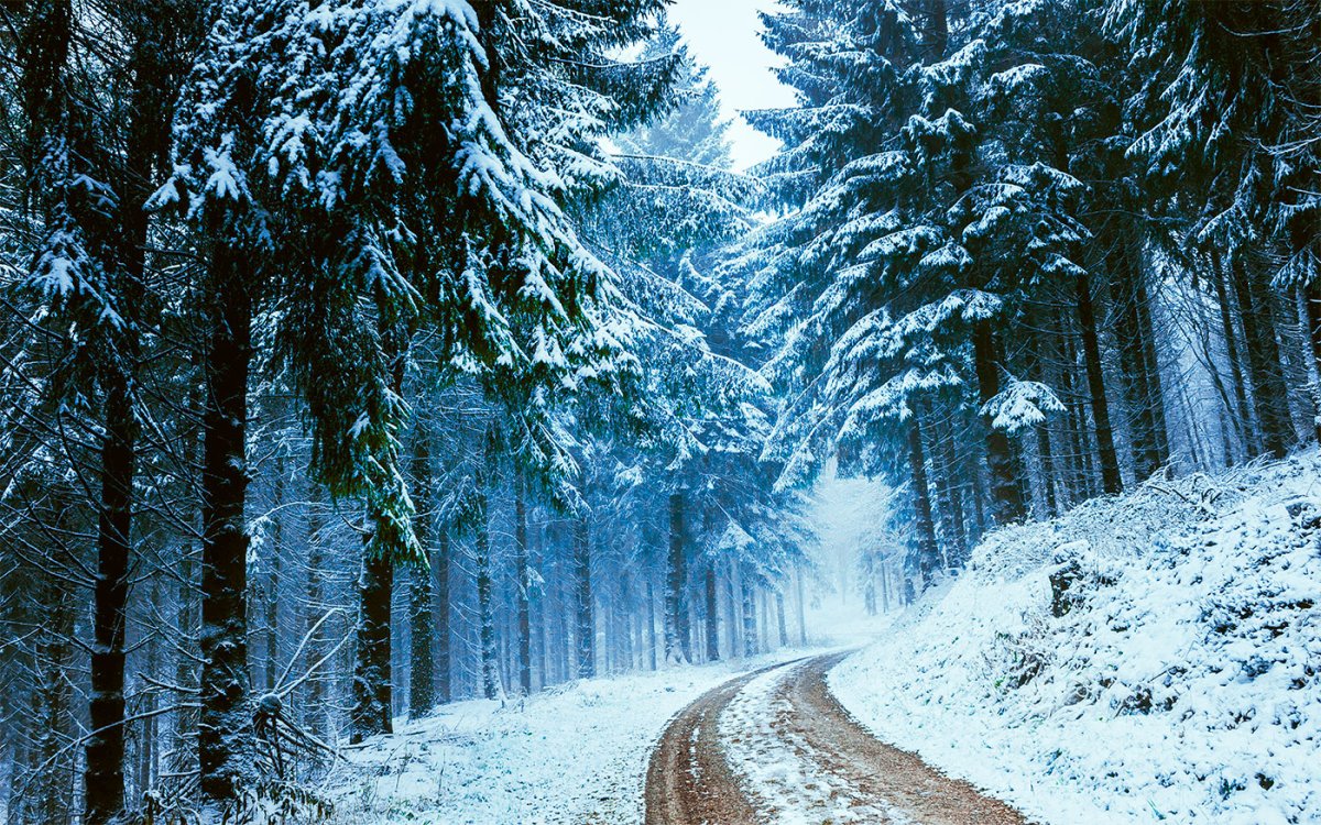 Снежная зима