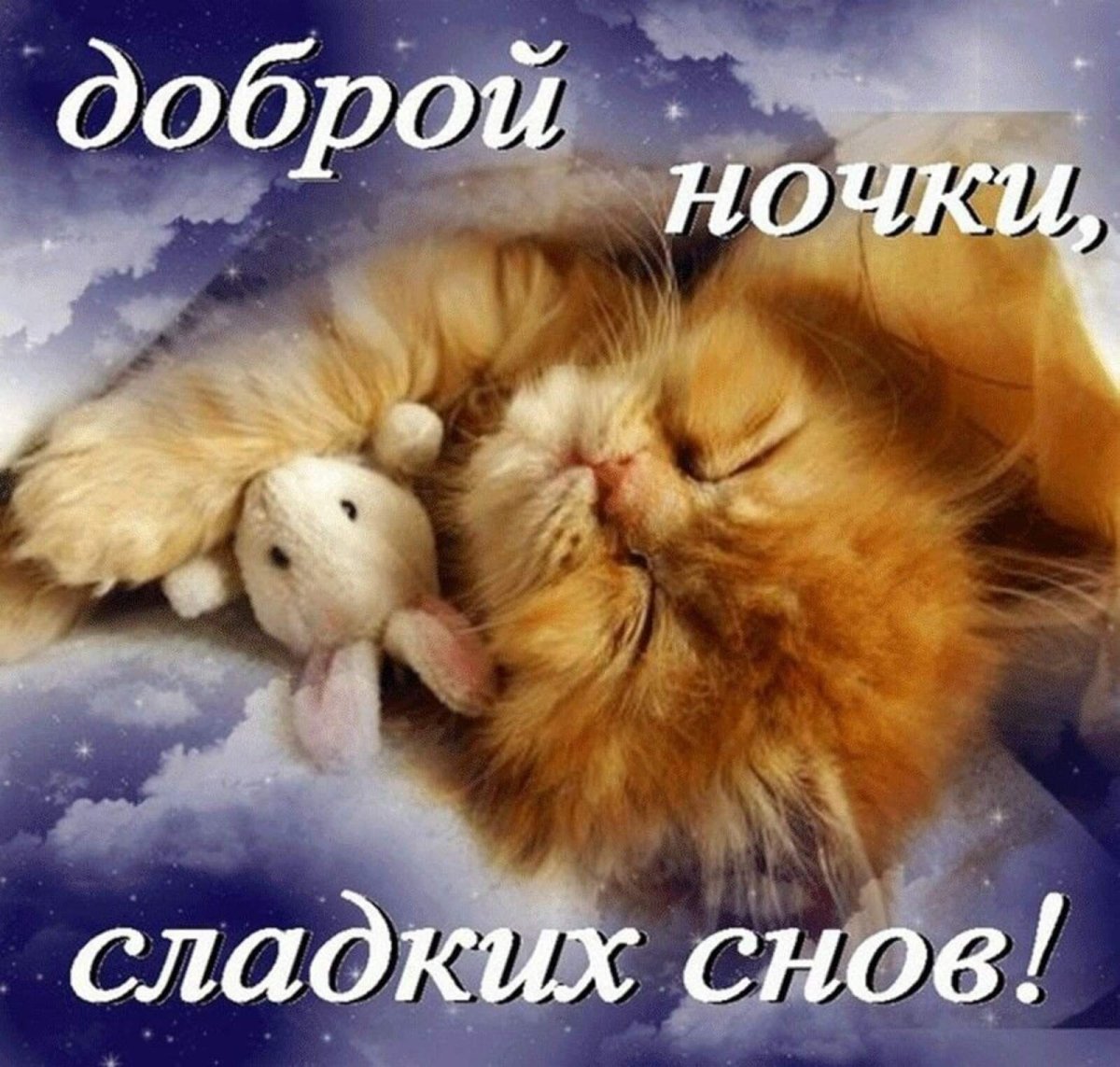 Спокойной ночислалких снов