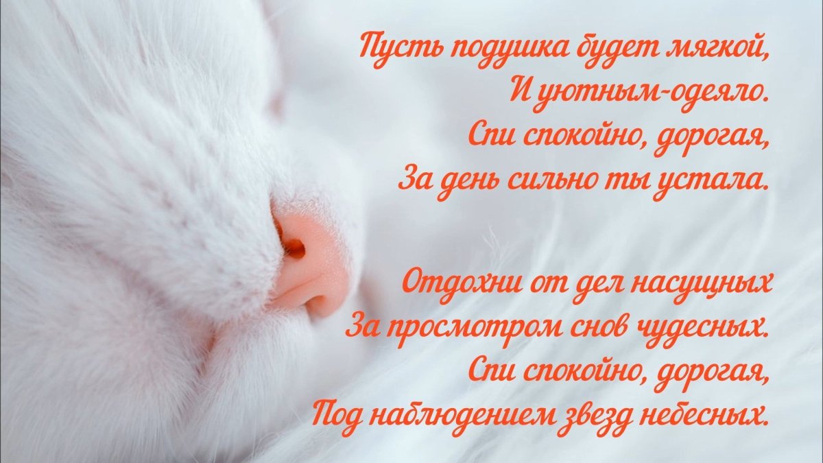 Ночь месяц звезды