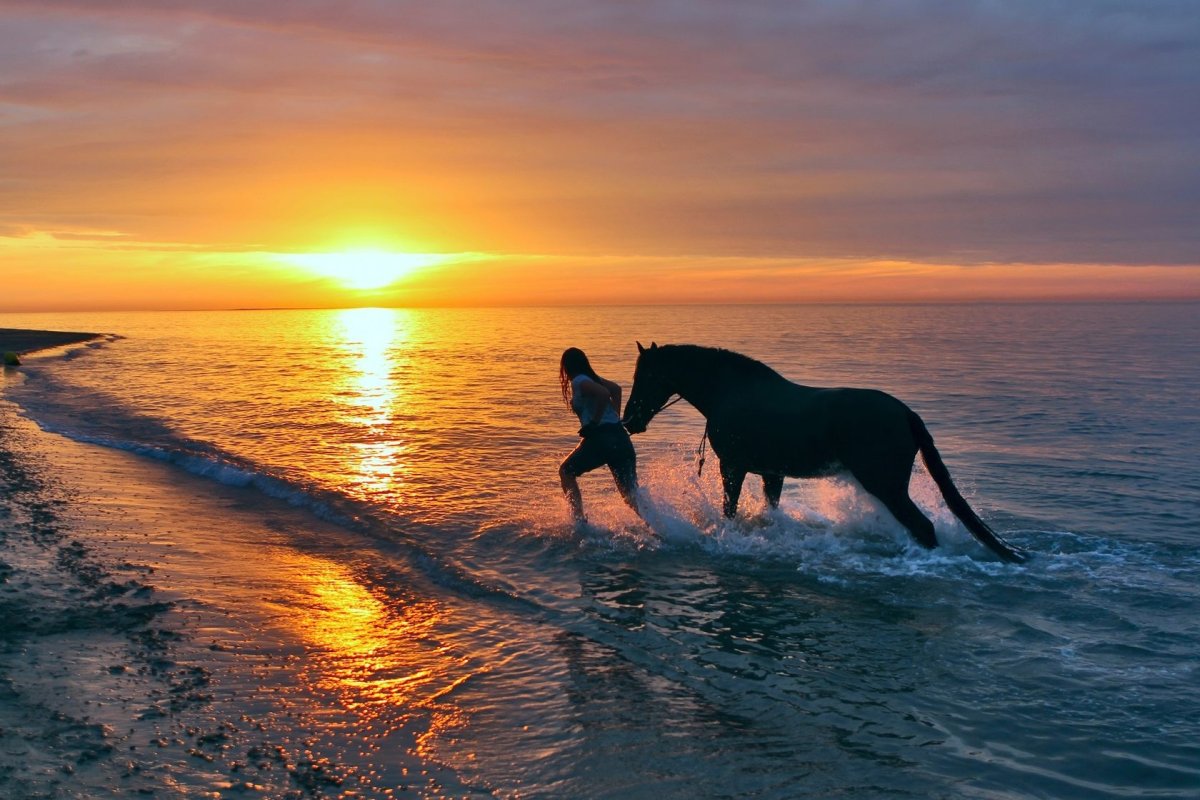 Лошади и море