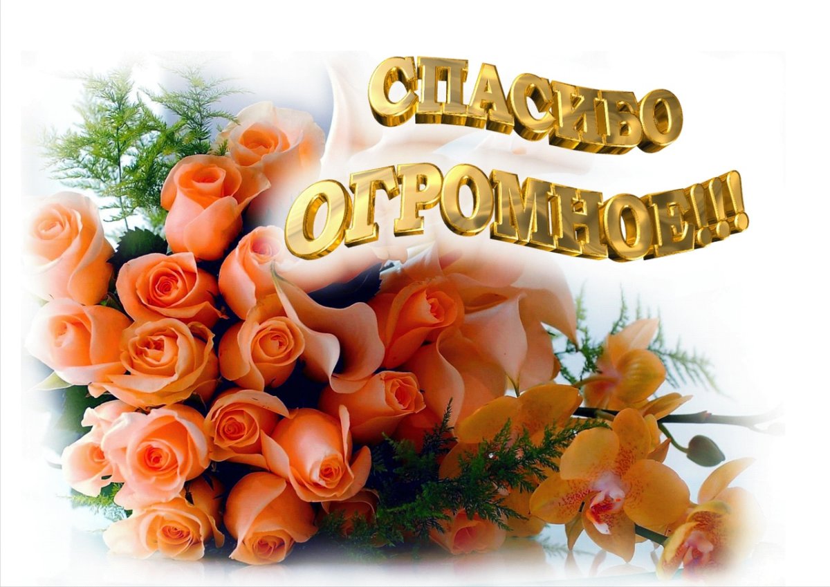 Огромная благодарность за помощь