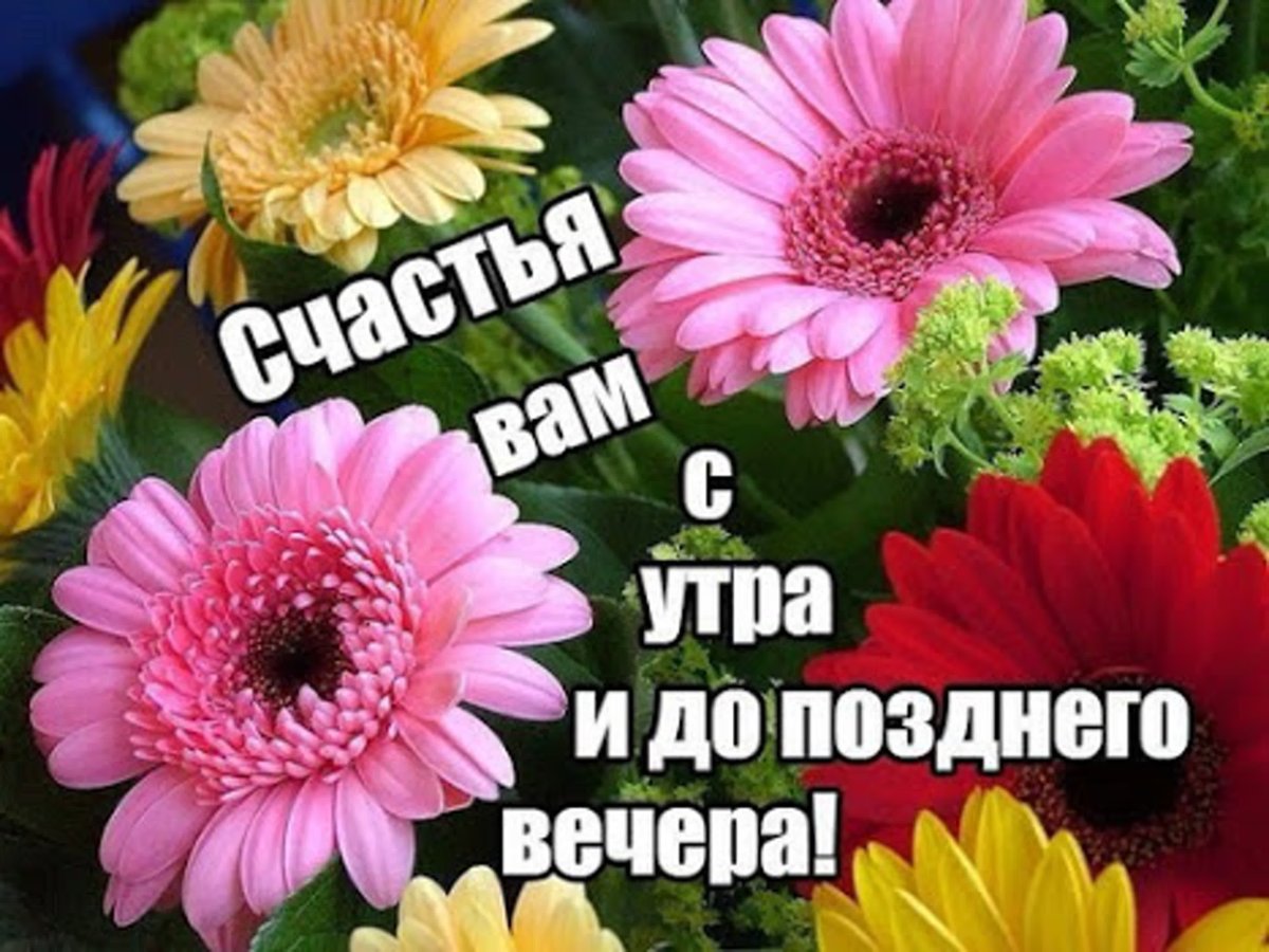 Счастья вам с утра и до вечера