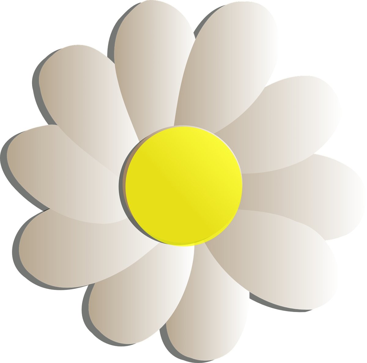 Лепесток ромашки