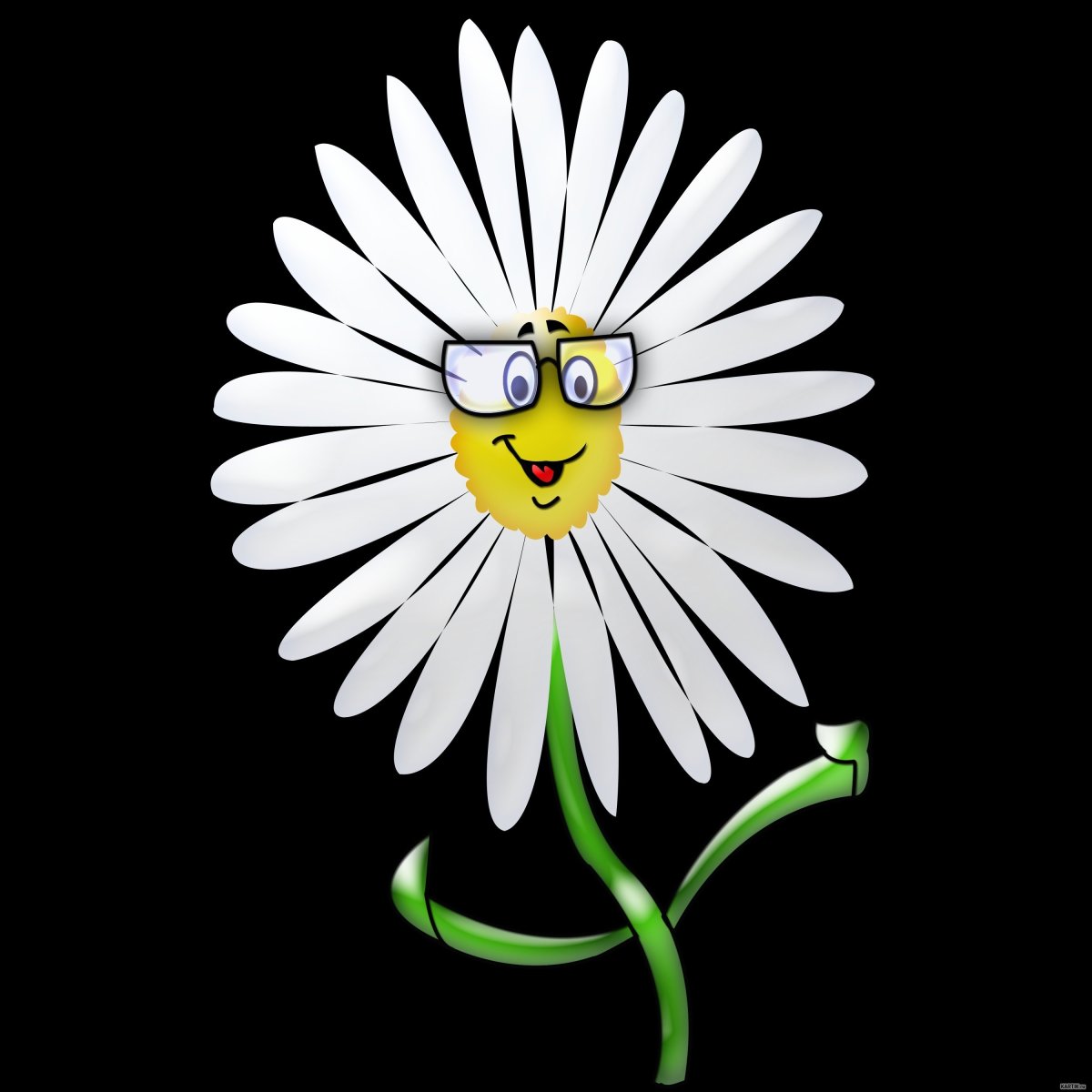 Смешная Ромашка