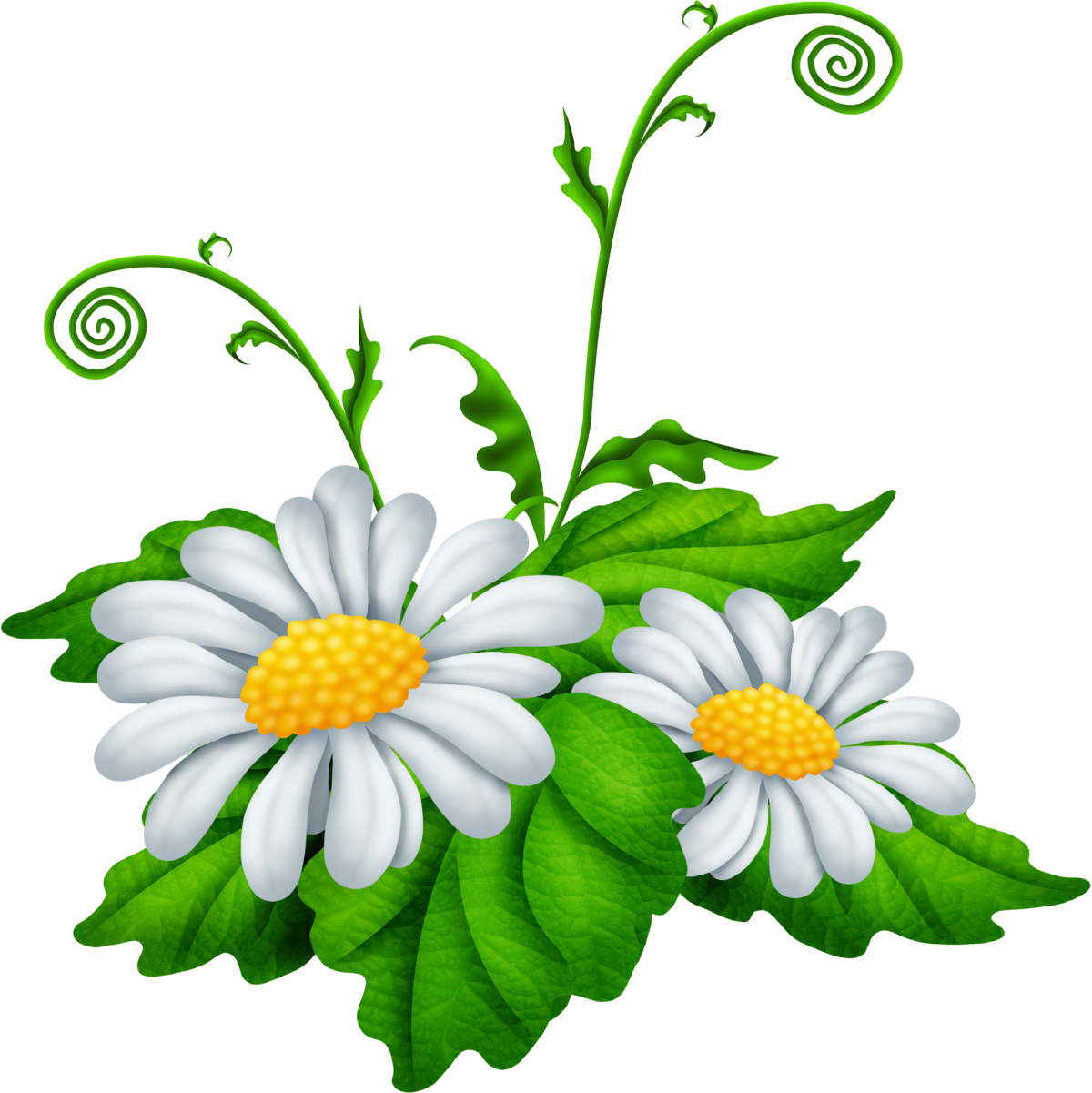 Цветы мультяшные