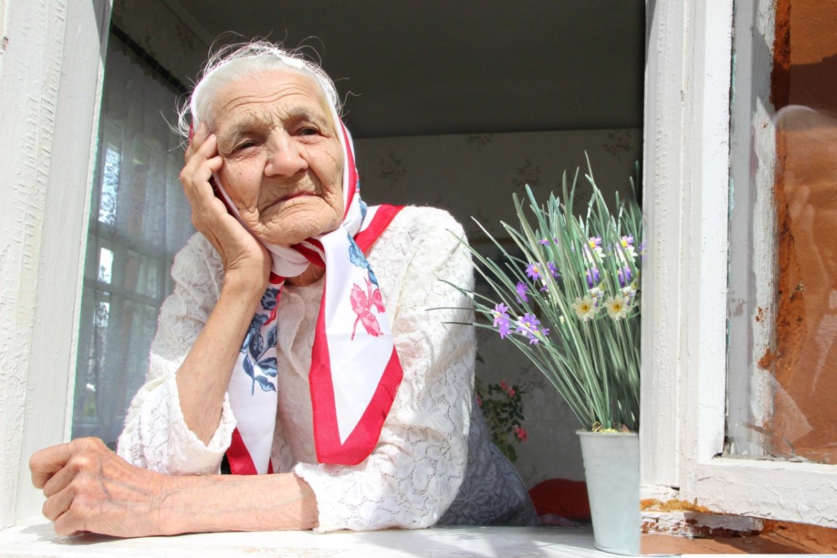 Художник Паула Воган