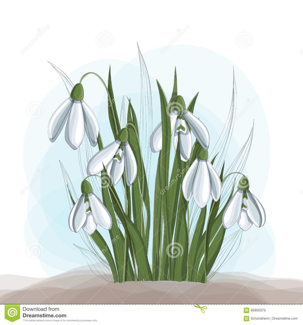 Много подснежников рисунки