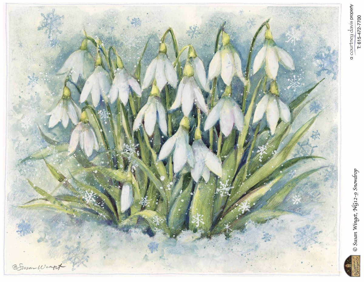 Анастасия Беседина акварель подснежники
