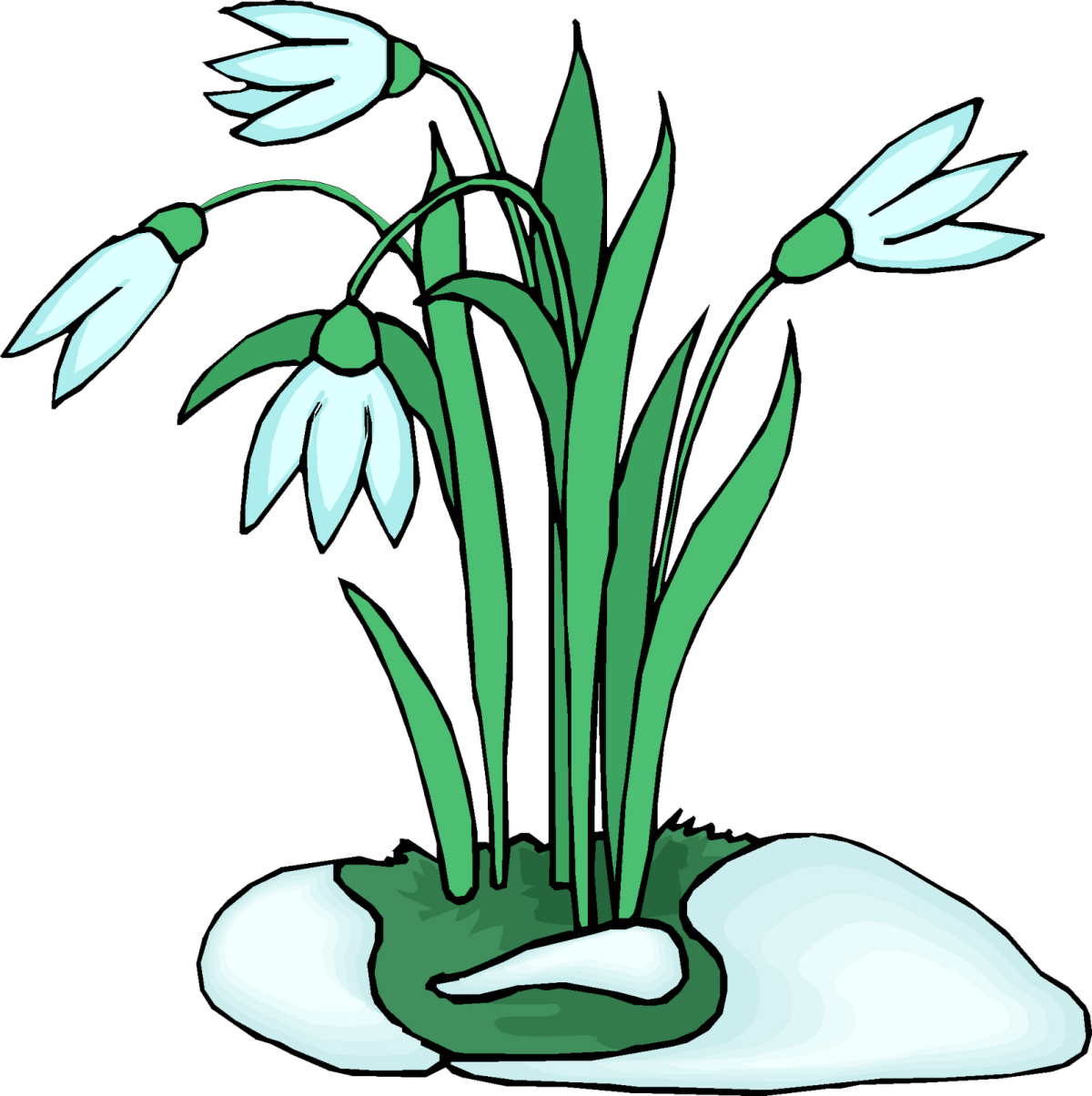 Поэтапное рисование первоцветов