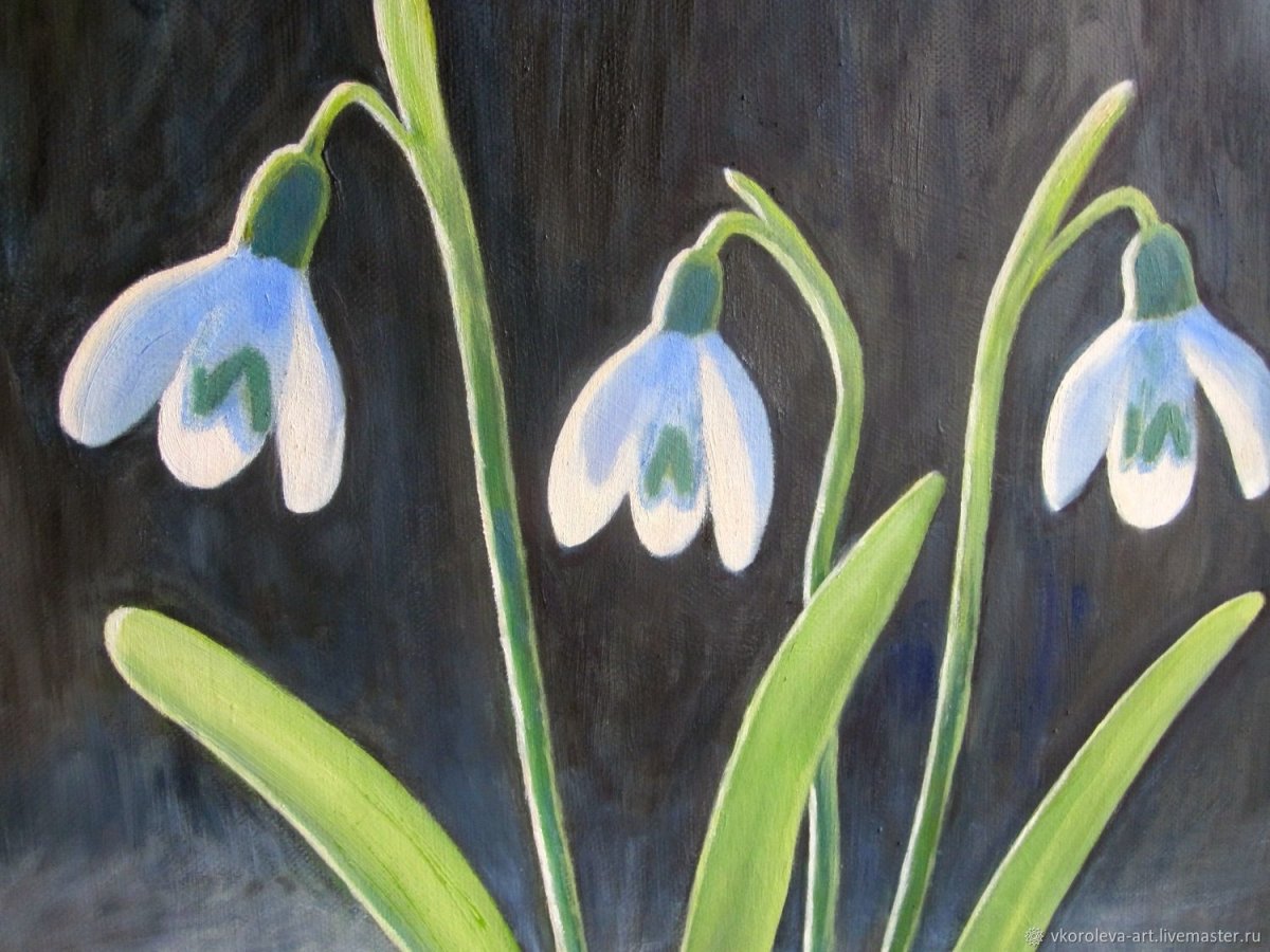 Подснежники рисунок