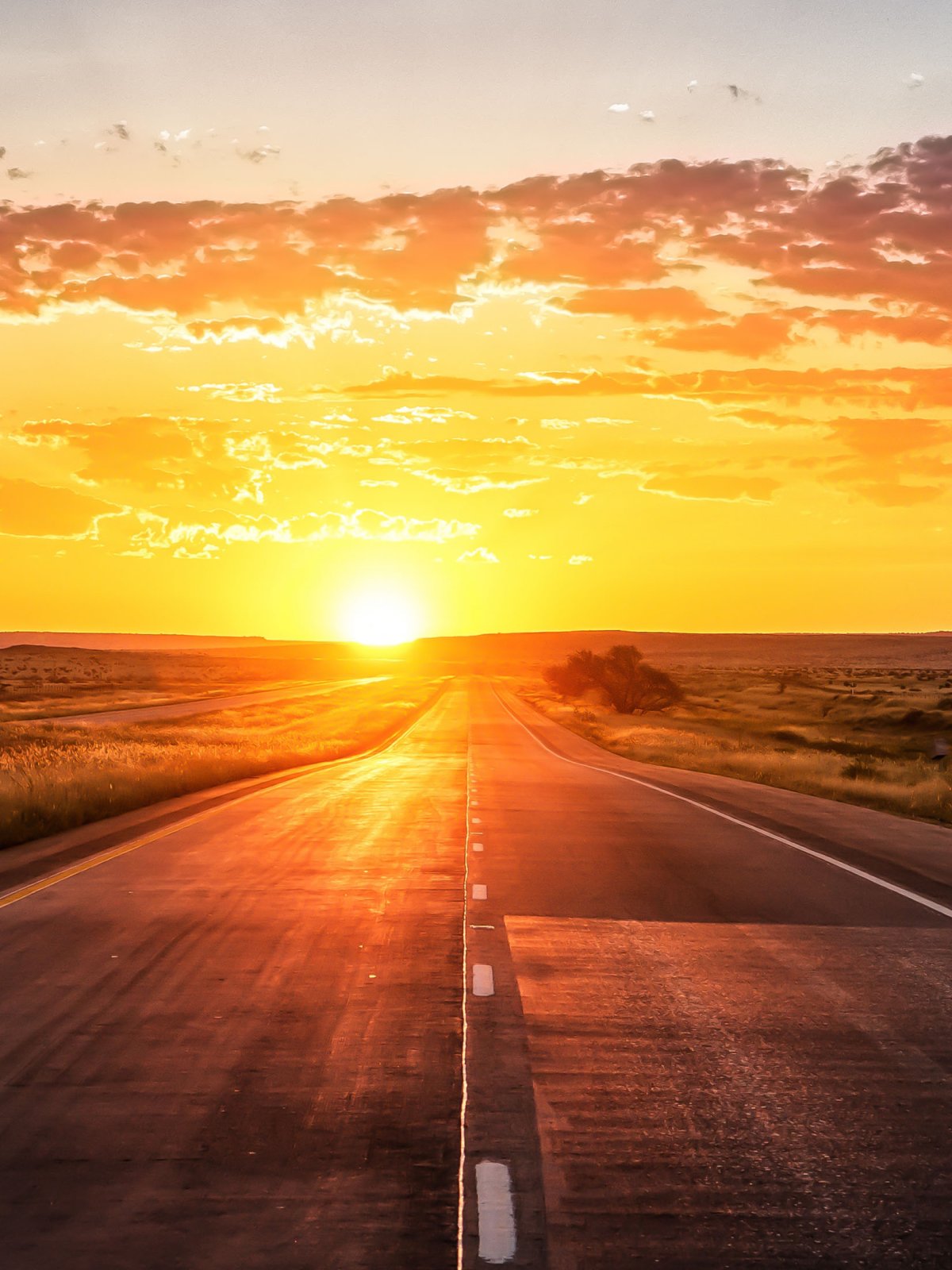 Веселая дорога