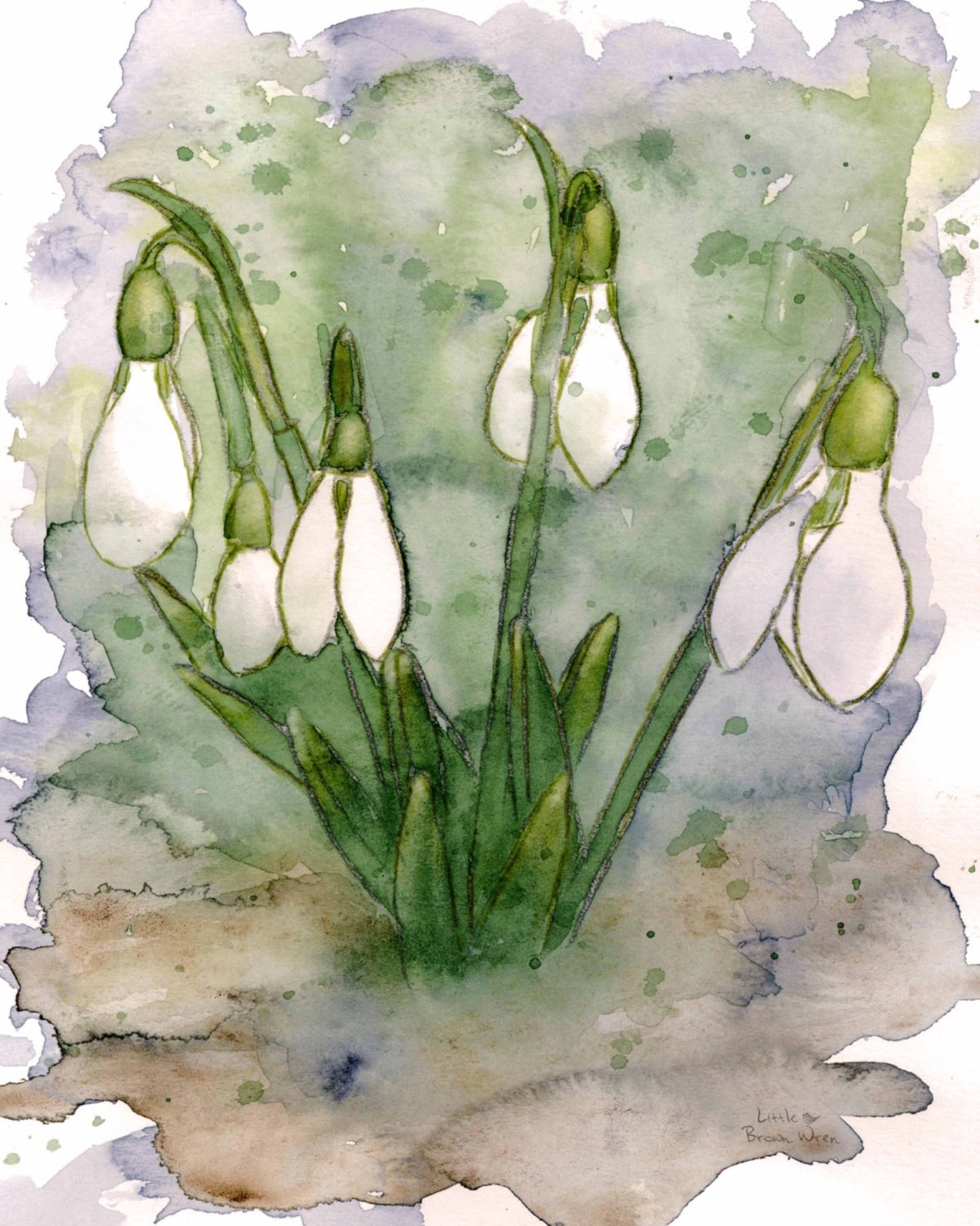 Подснежники акварель Манухов