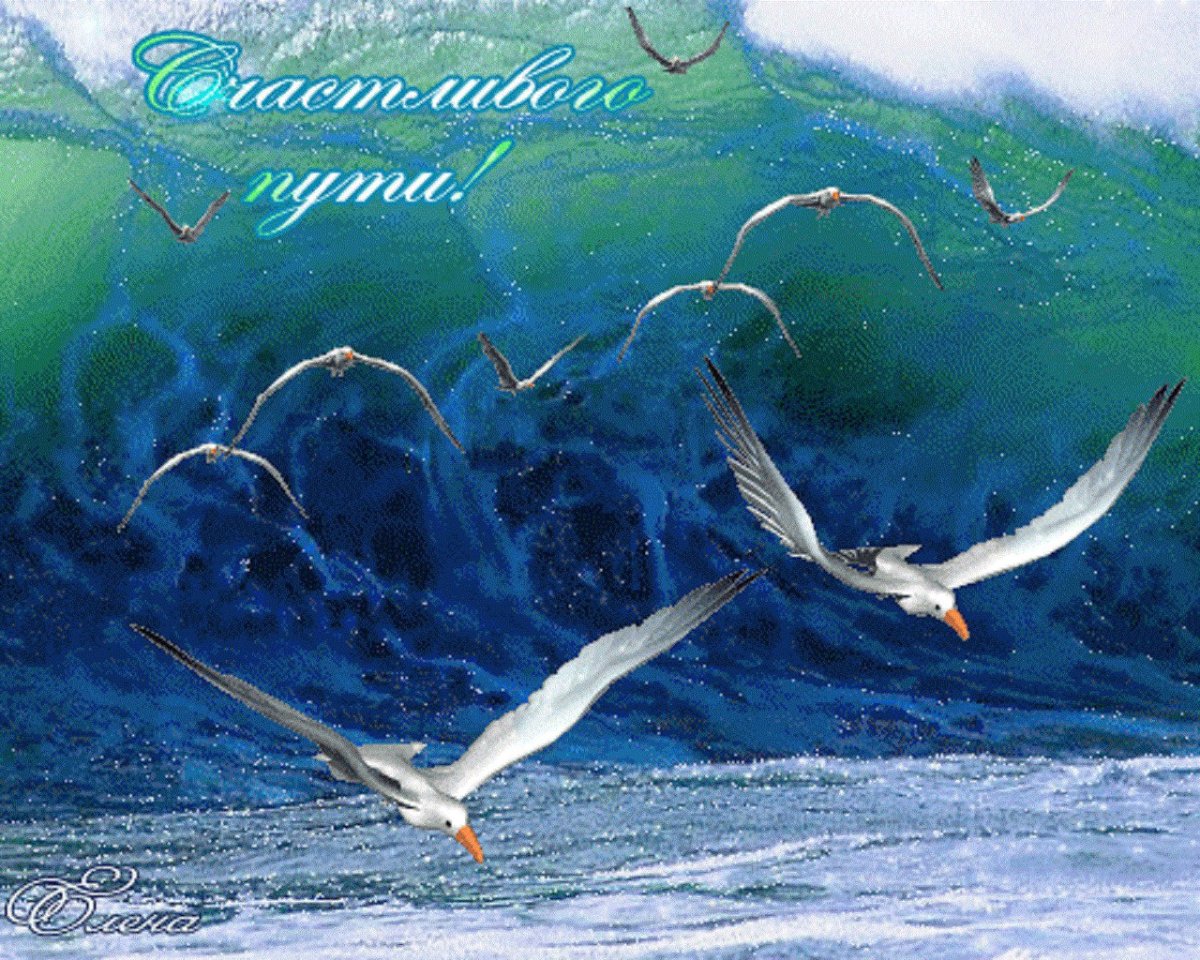 Хорошего полета