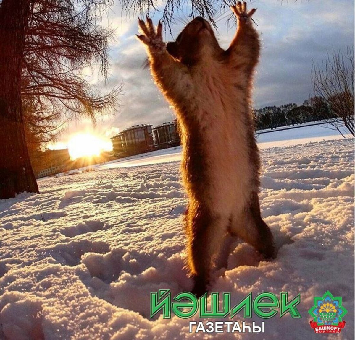 Весна пришла