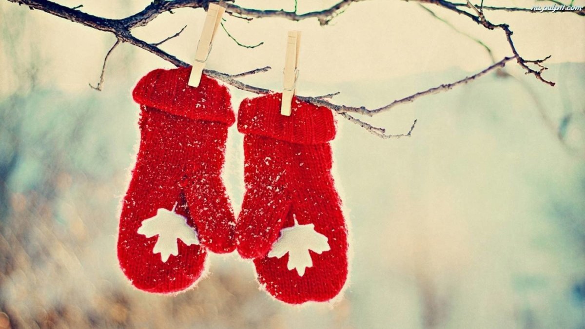 Варежки в снегу