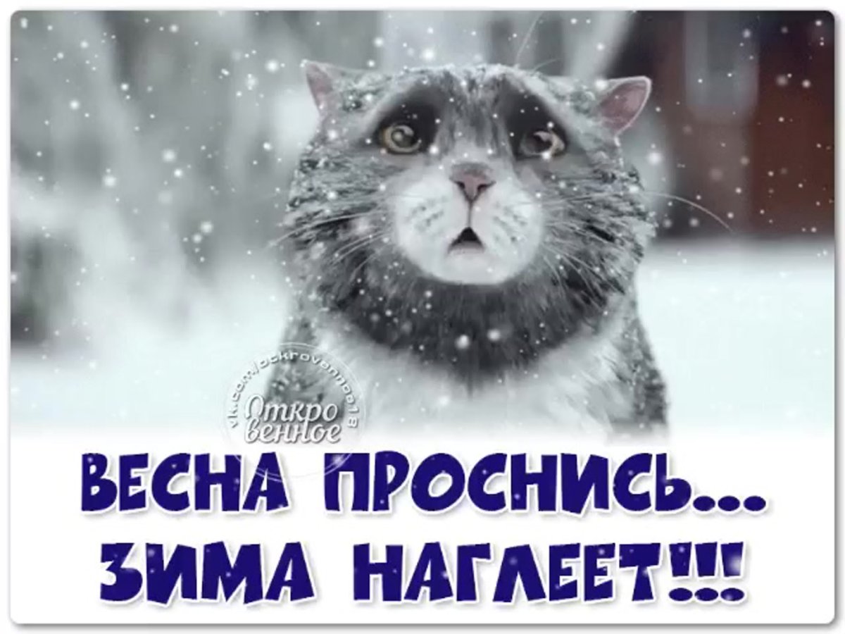 Весна со снегом прикольные