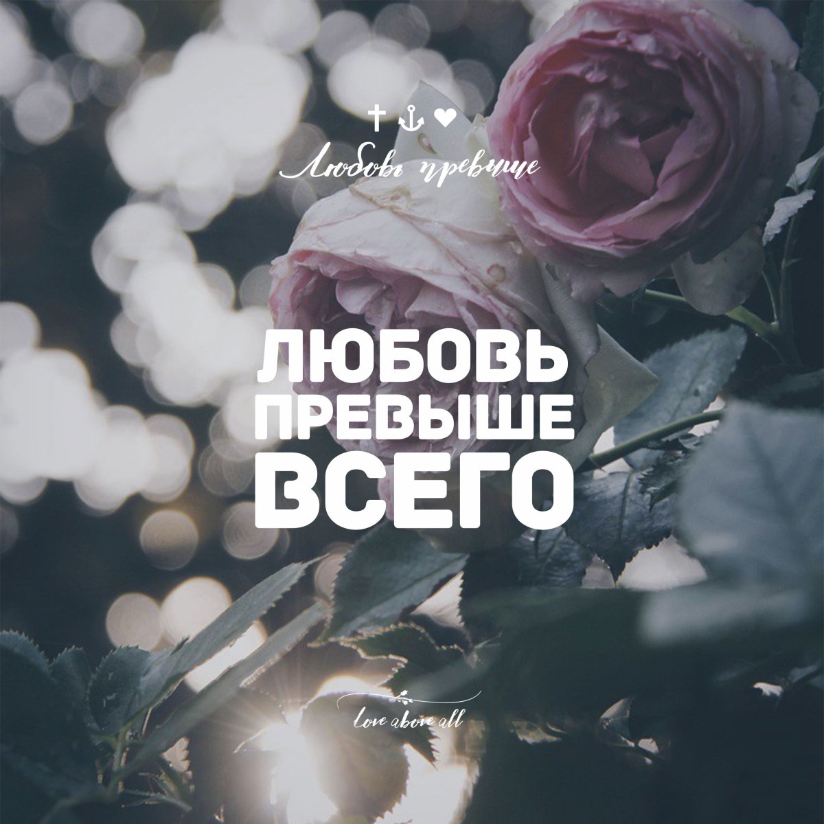 Вдохновляющие цитаты