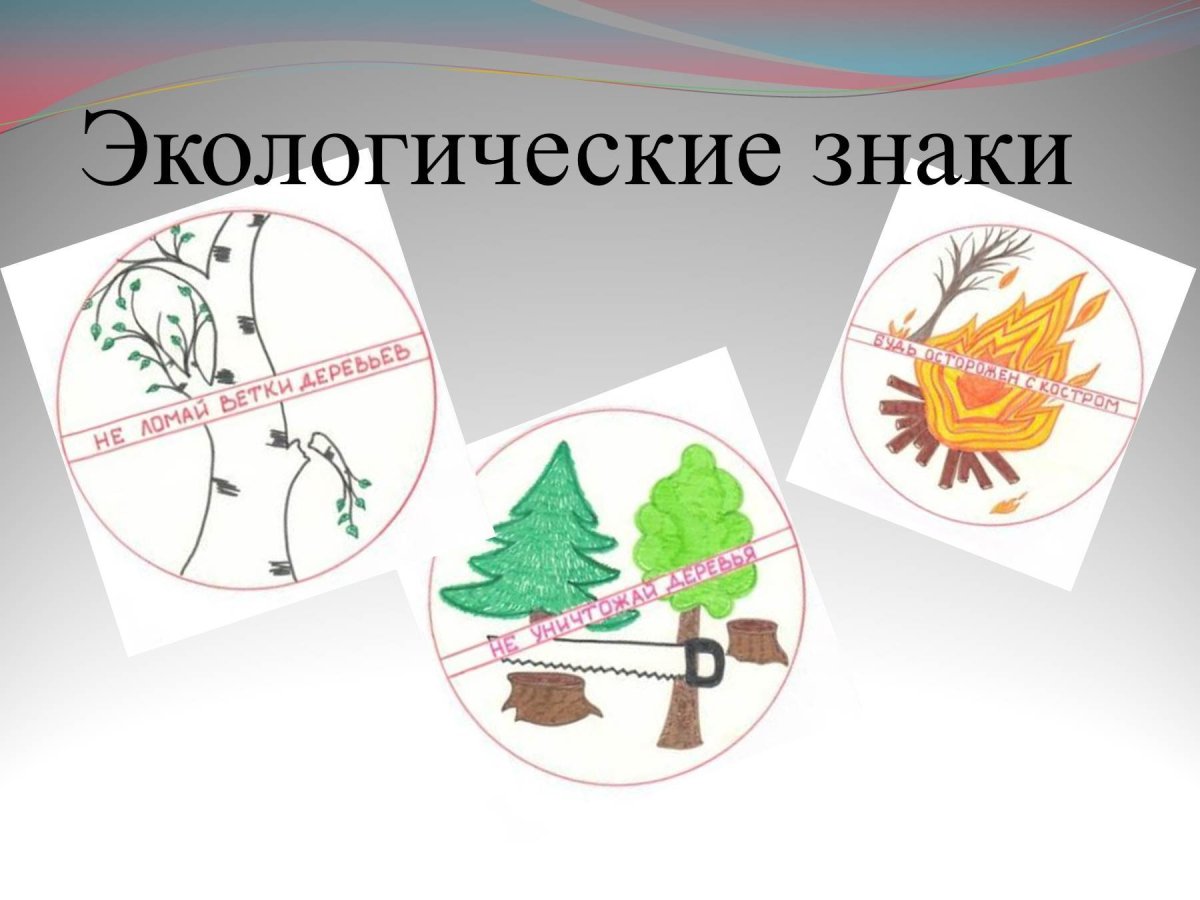 Знаки поведения в природе