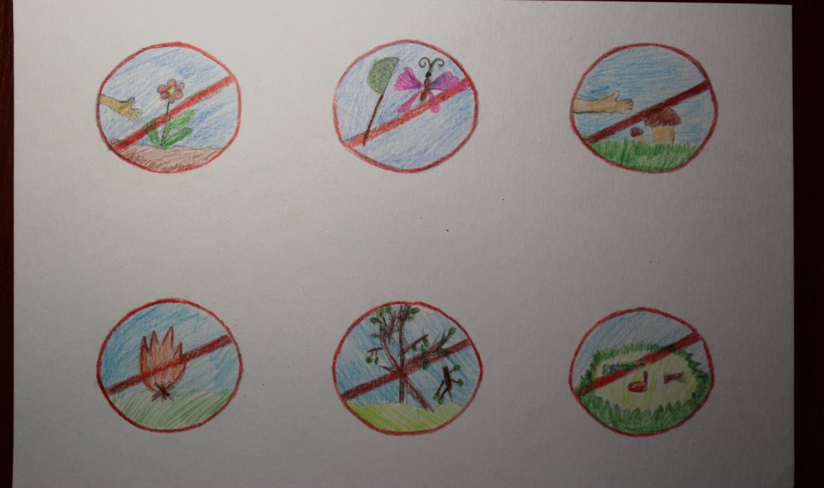 Рисунок берегите природу