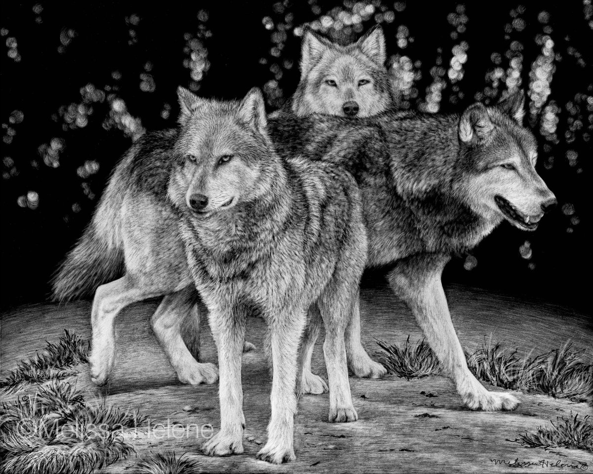 Монохромный волк