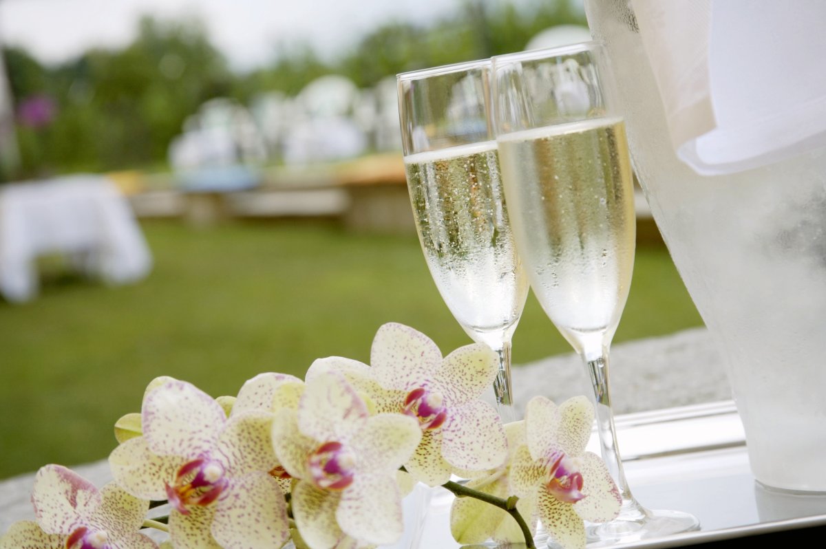 14 Лет свадьбы какая свадьба