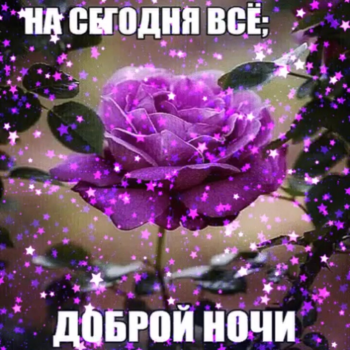 Спокойной ночи Нина
