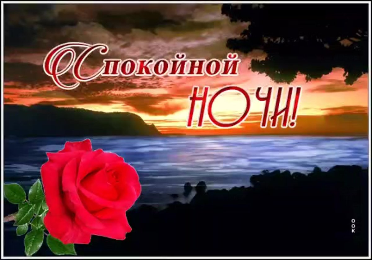 Доброй ночи дорогой