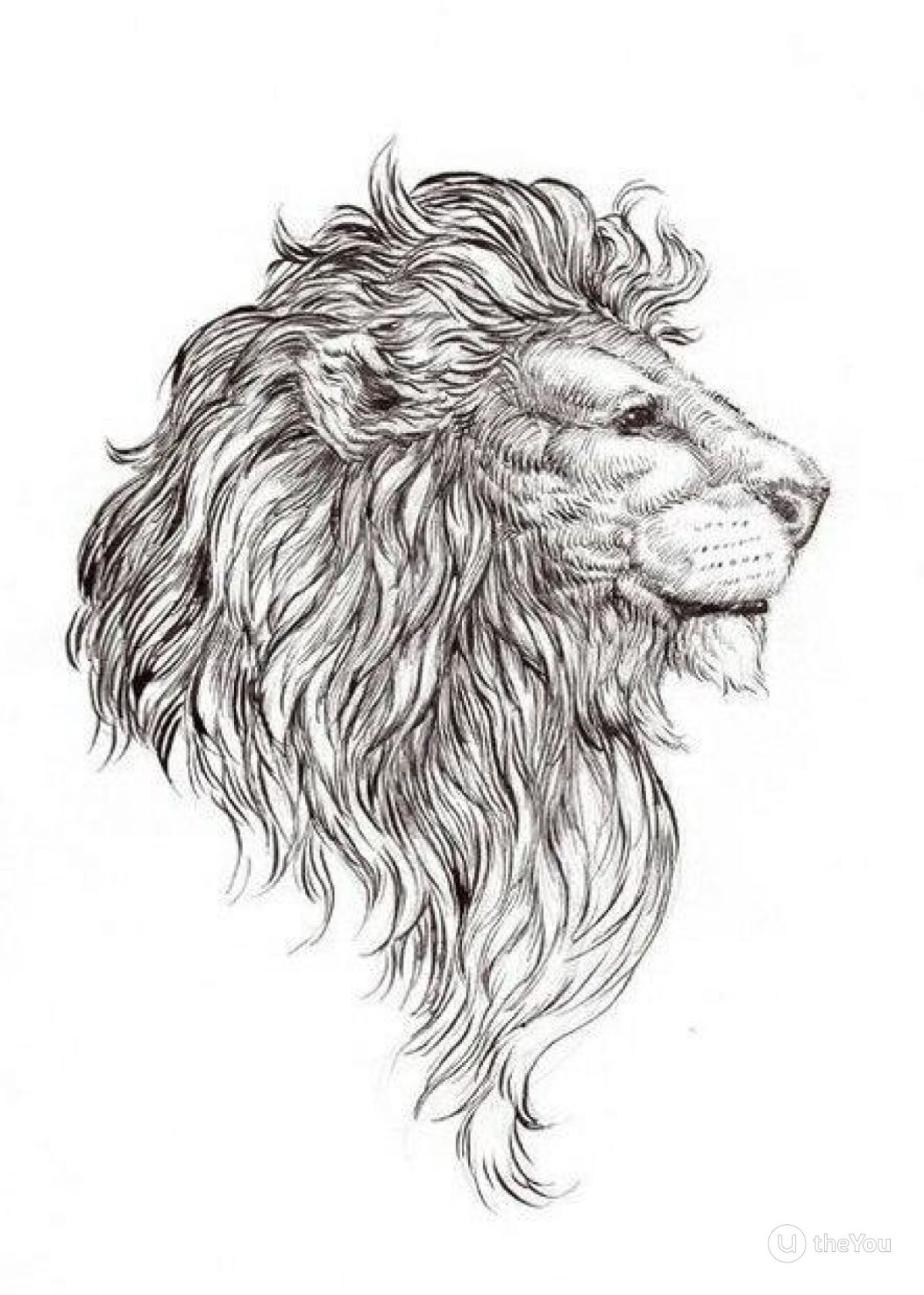 Лев тату эскиз