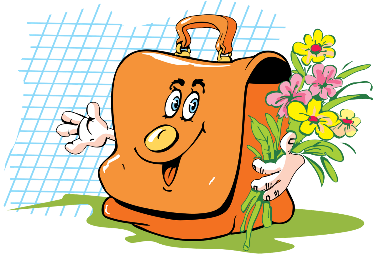 Портфель школьный