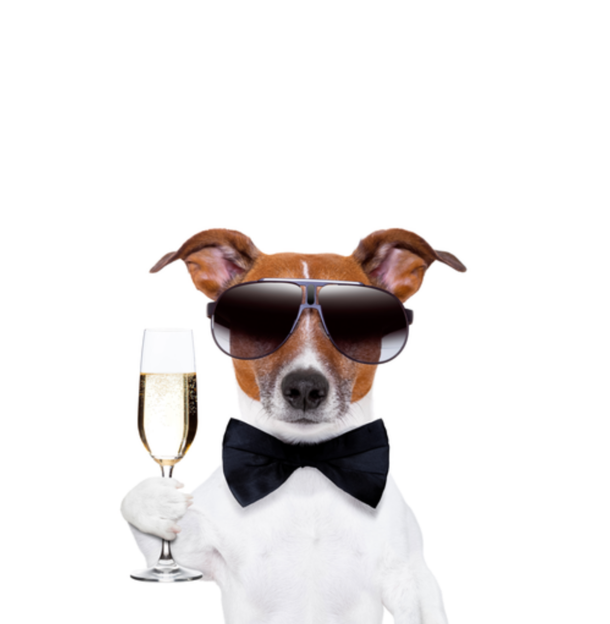 Поздравления с днём рождения другу прикольные