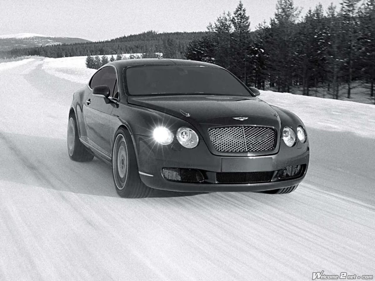 Бентли в171нн