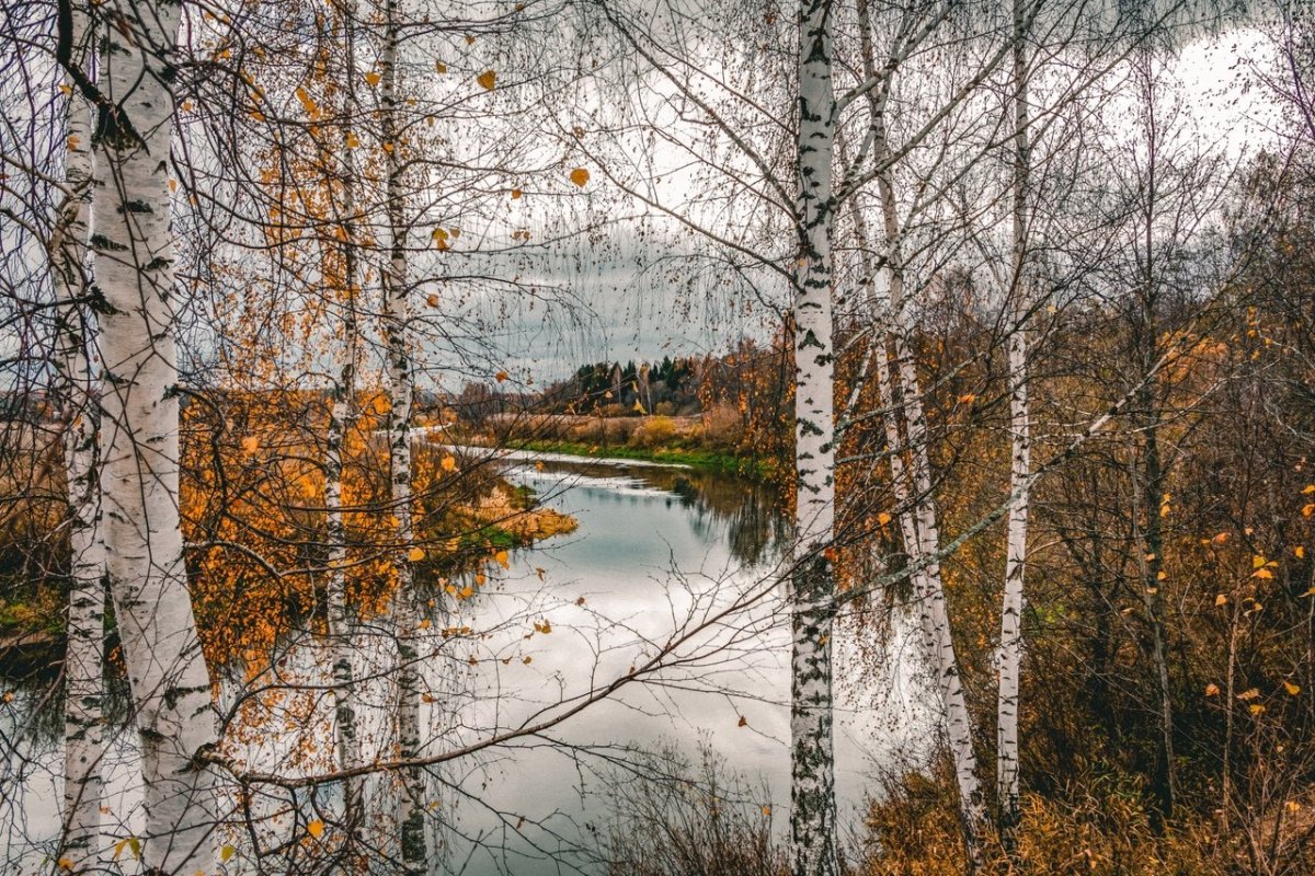 Асеев поздняя осень