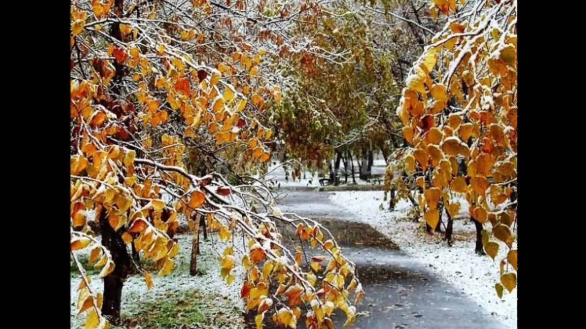 Ранняя зима