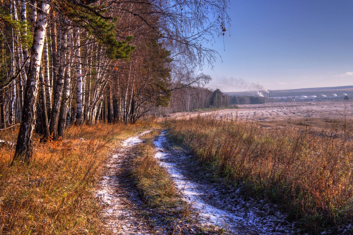 Поздняя осень, предзимье