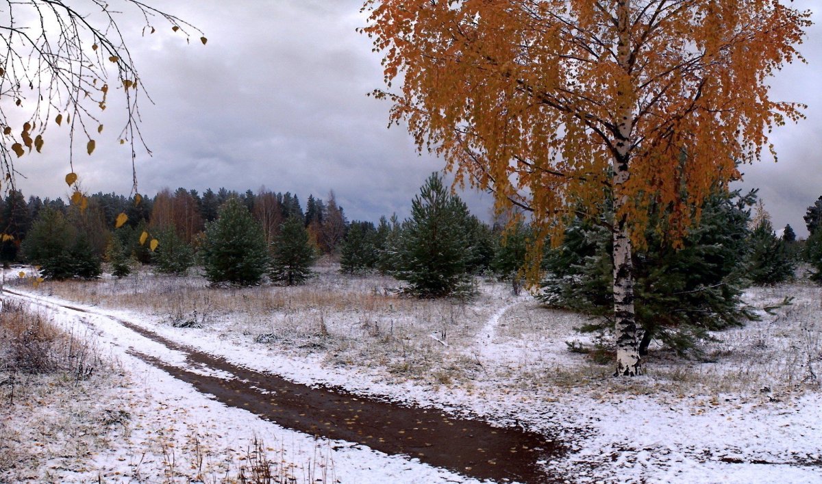 Ранняя Золотая поздняя осень