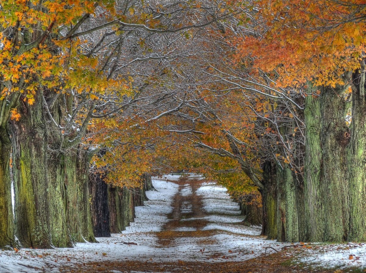 Осенний пейзаж