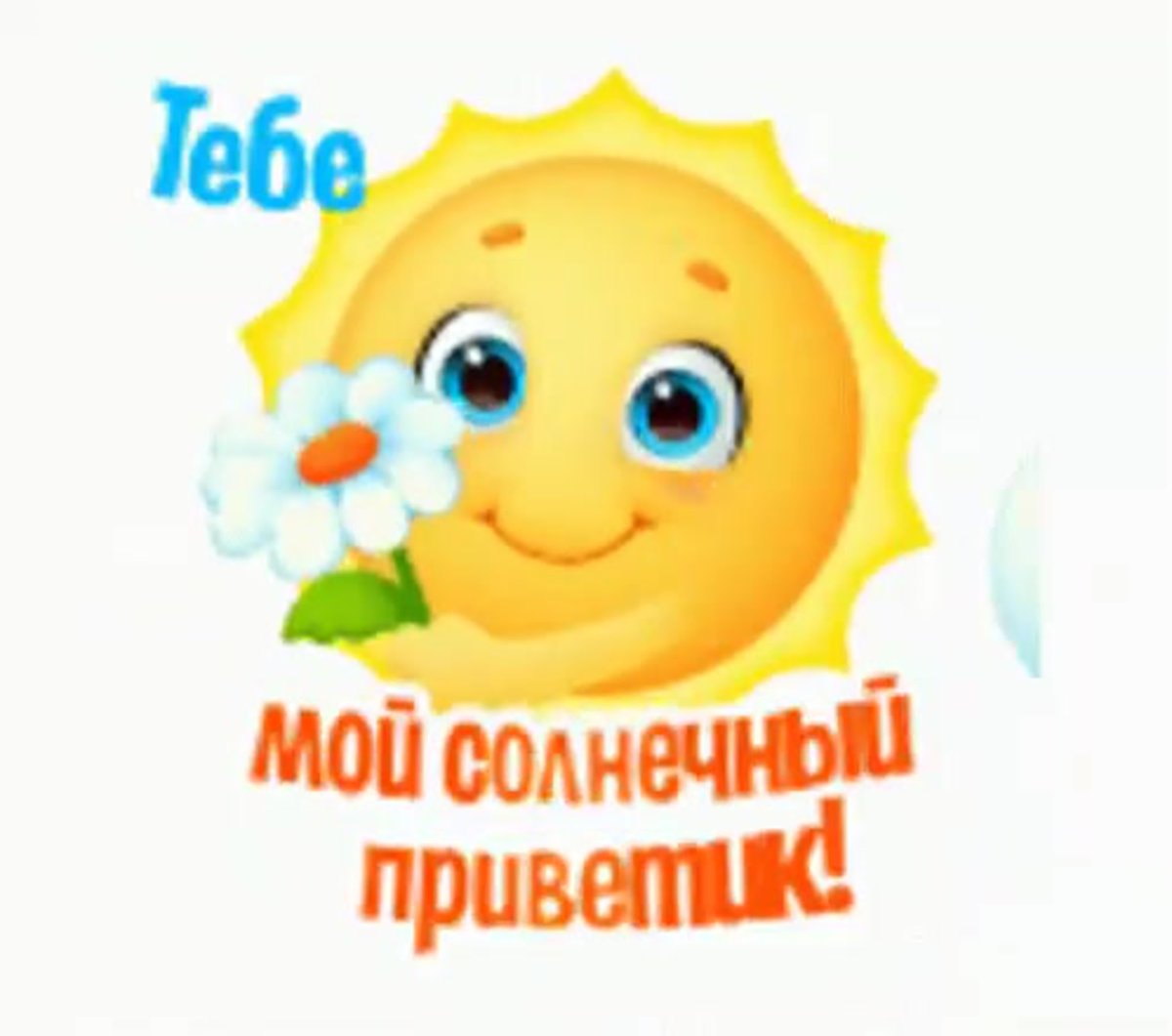 Солнечный приветик