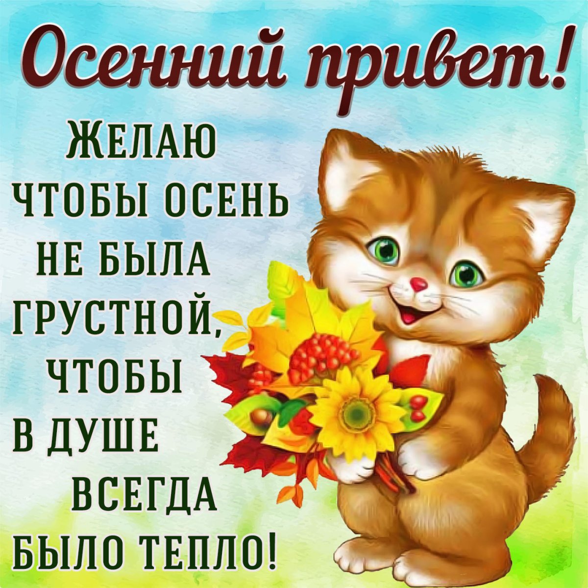 Здравствуй утро доброе