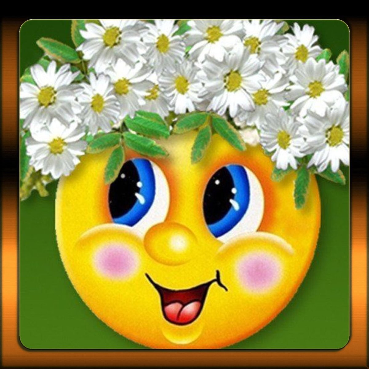 С добрым утром Подсолнухи