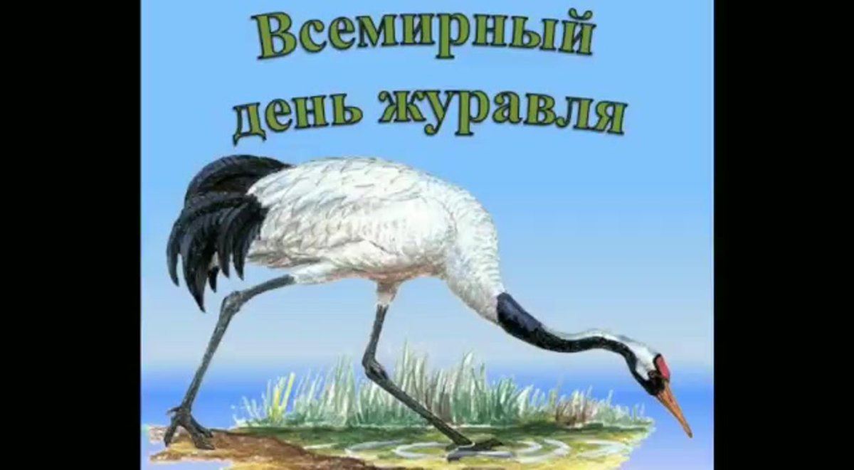 Всемирный день журавля 13 сентября