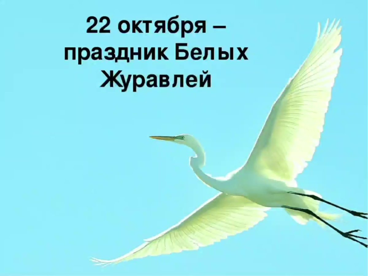 День белых журавлей 22 октября