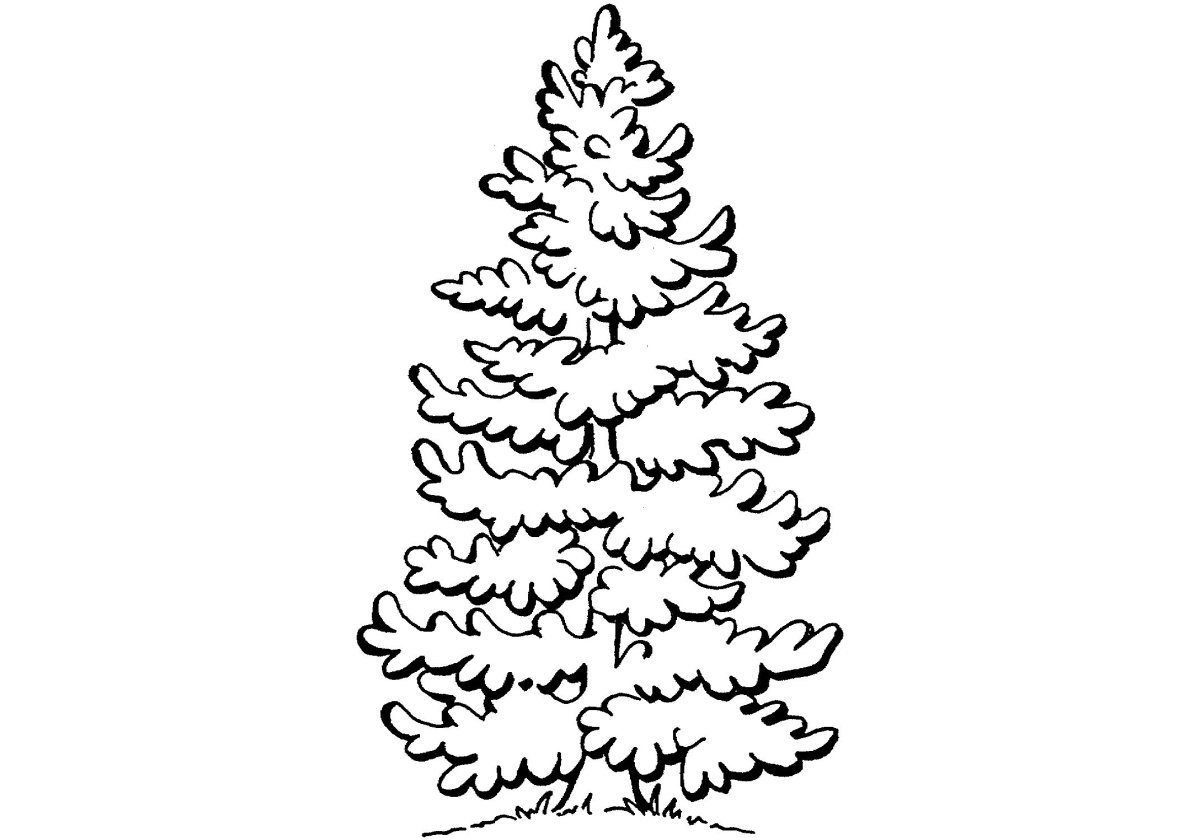 Раскраска елка Новогодняя без украшений