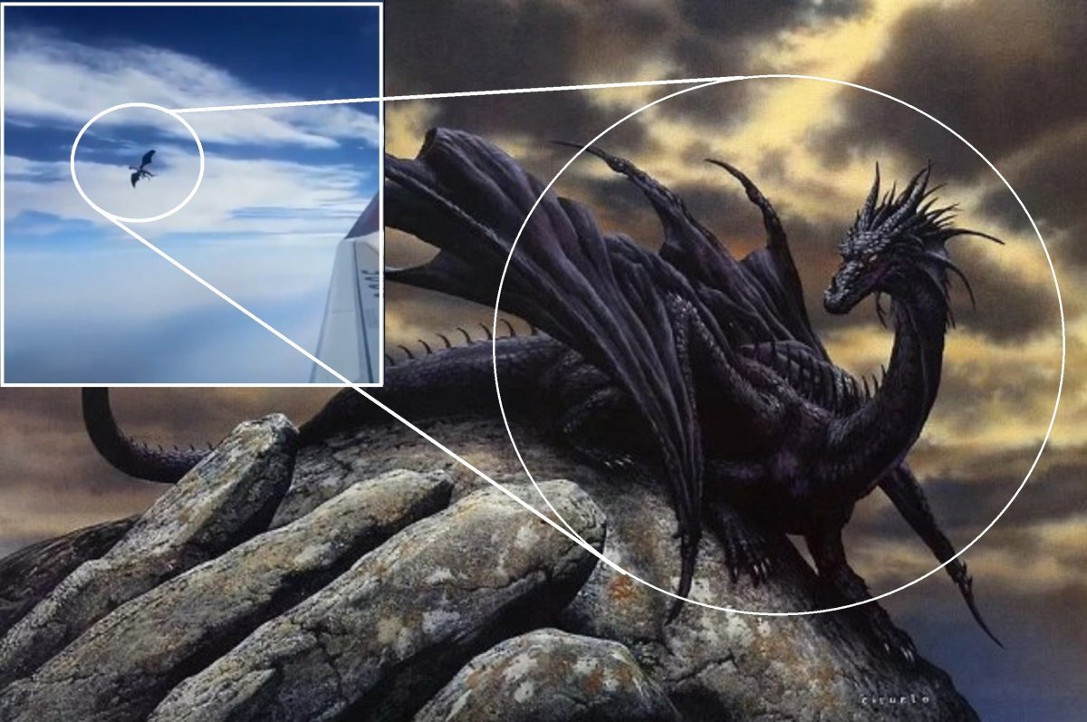 Настоящих драконов