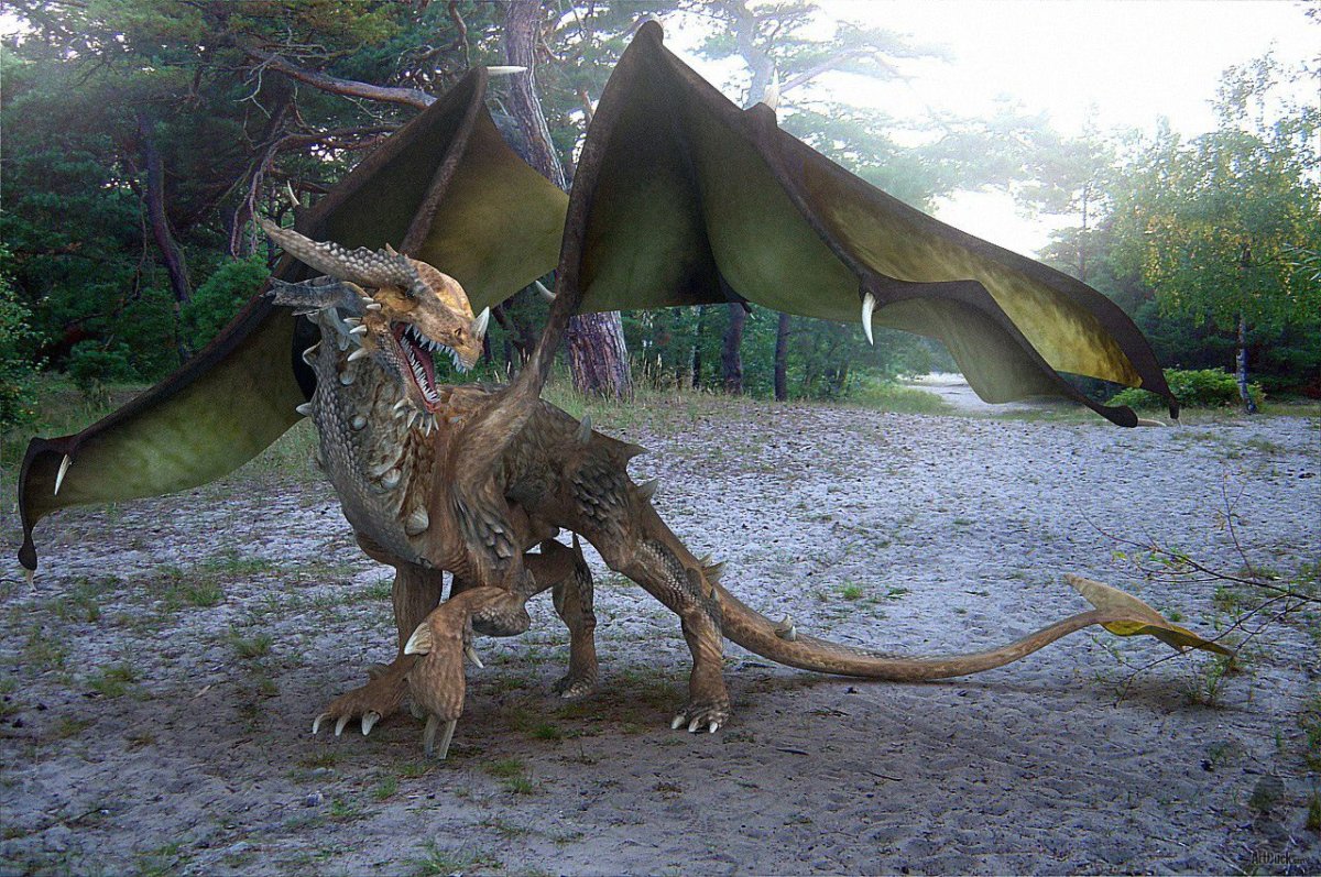 Драконы в реальной жизни