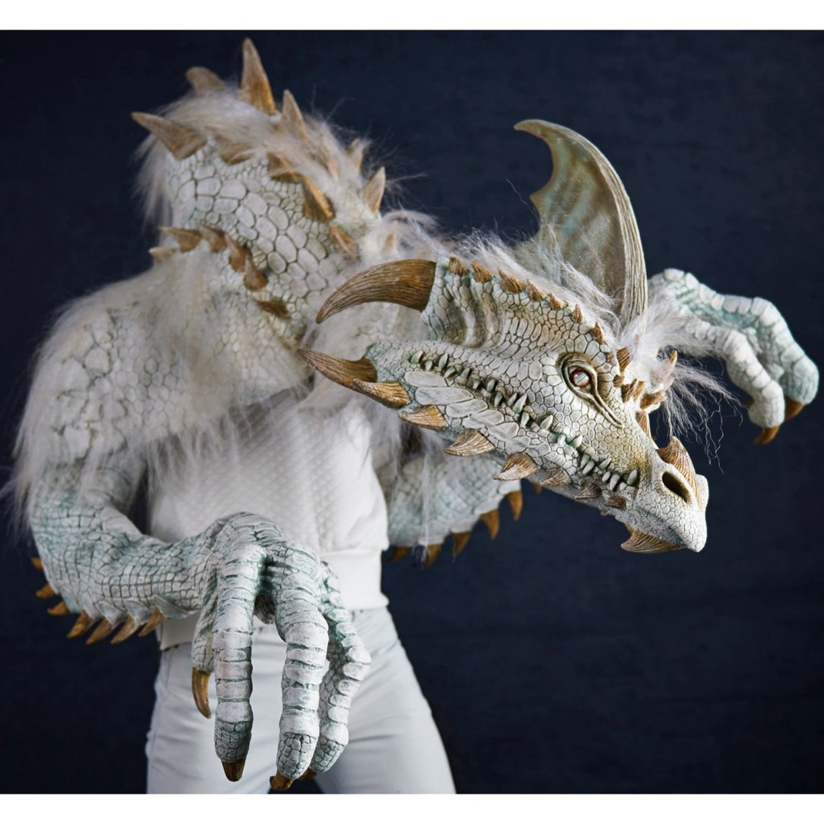 Крокодиловый сцинк